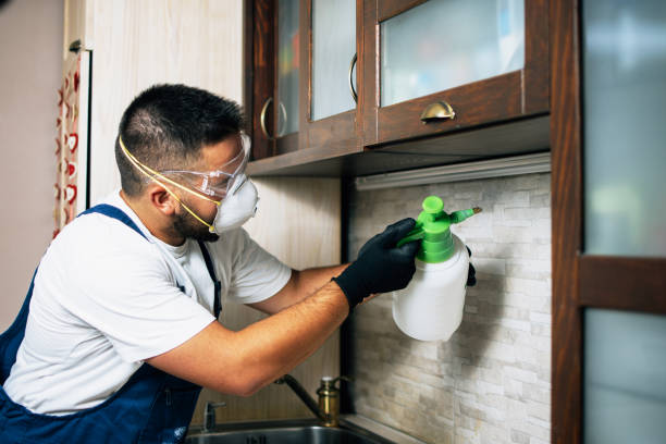 Pest Control for Restaurants in Madison Park, NJ