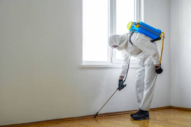 Best Rat Extermination Near Me  in Madison Park, NJ