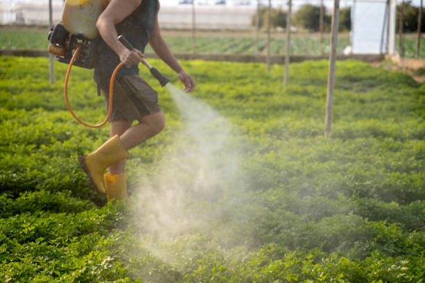 Professional Pest Control in Madison Park, NJ