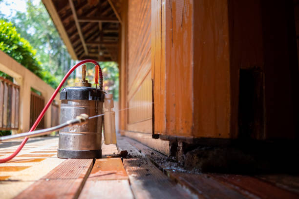 Wasp Removal Services in Madison Park, NJ