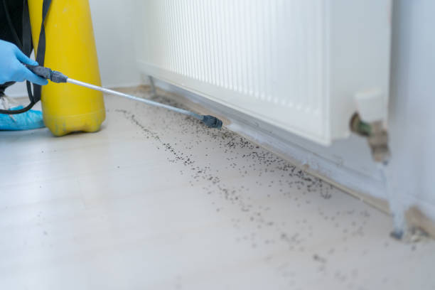 Best Emergency Pest Control  in Madison Park, NJ