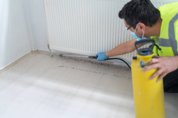 Best Residential Pest Control  in Madison Park, NJ