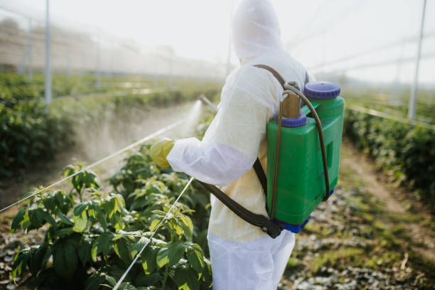 Best Pest Control Near Me  in Madison Park, NJ
